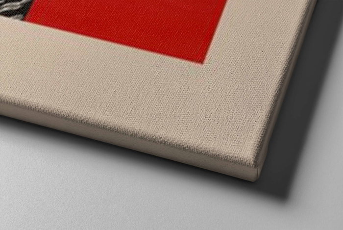 Wallity ASR_CNV2-19 Set de 2 Pinturas Decorativas en Lienzo Multicolor 50x50 cm
